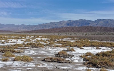 Top 7 Things To See in Death Valley, US in 1 Day