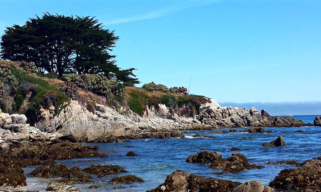 Top things to see on Pacific Coast Highway One -Part 1-Monterey, California