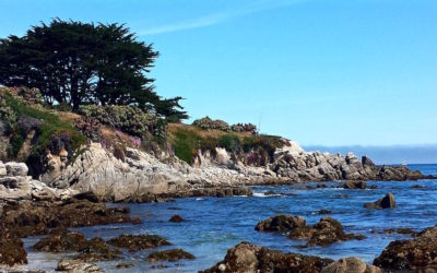 Top things to see on Pacific Coast Highway One -Part 1-Monterey, California