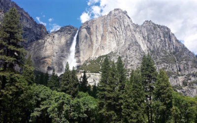 2-day visit of Yosemite Park in California and some tips