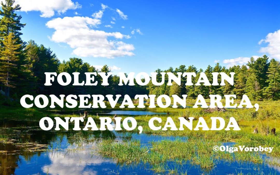 A Day Trip To Foley Mountain Conservation Area in Ontario, Canada