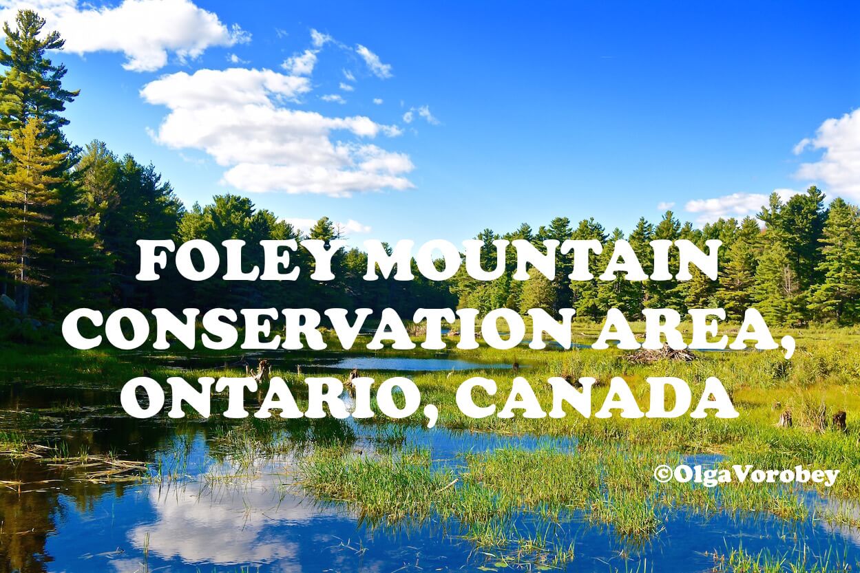 A Day Trip To Foley Mountain Conservation Area in Ontario, Canada